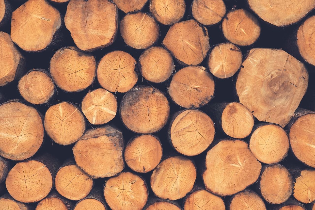IIS Logging Basics